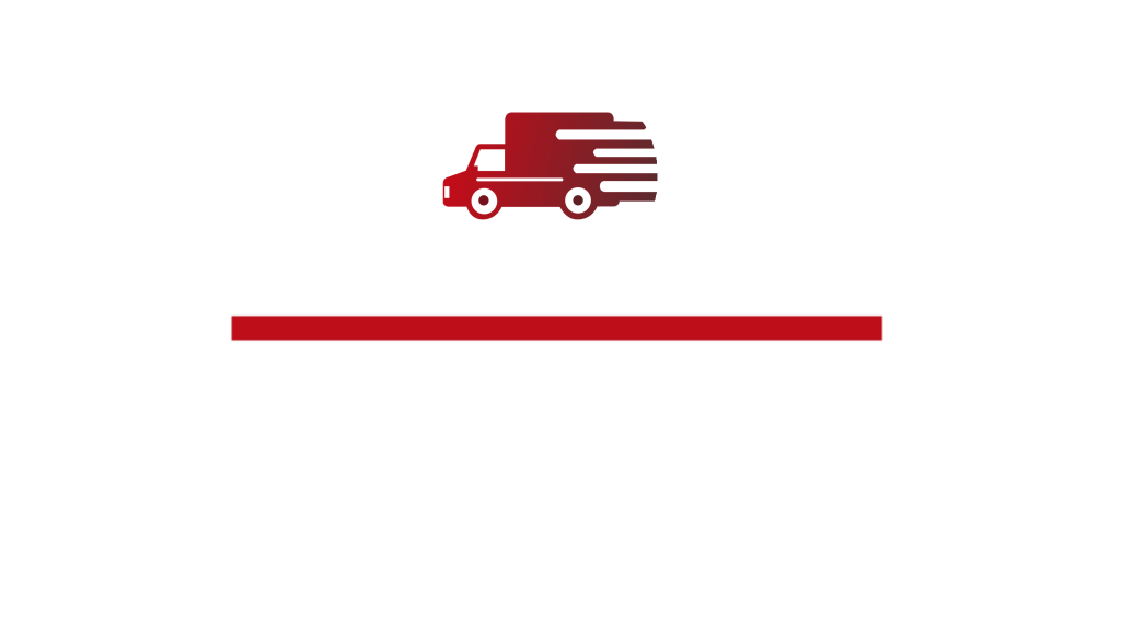 Delivery Software Ltd Logo